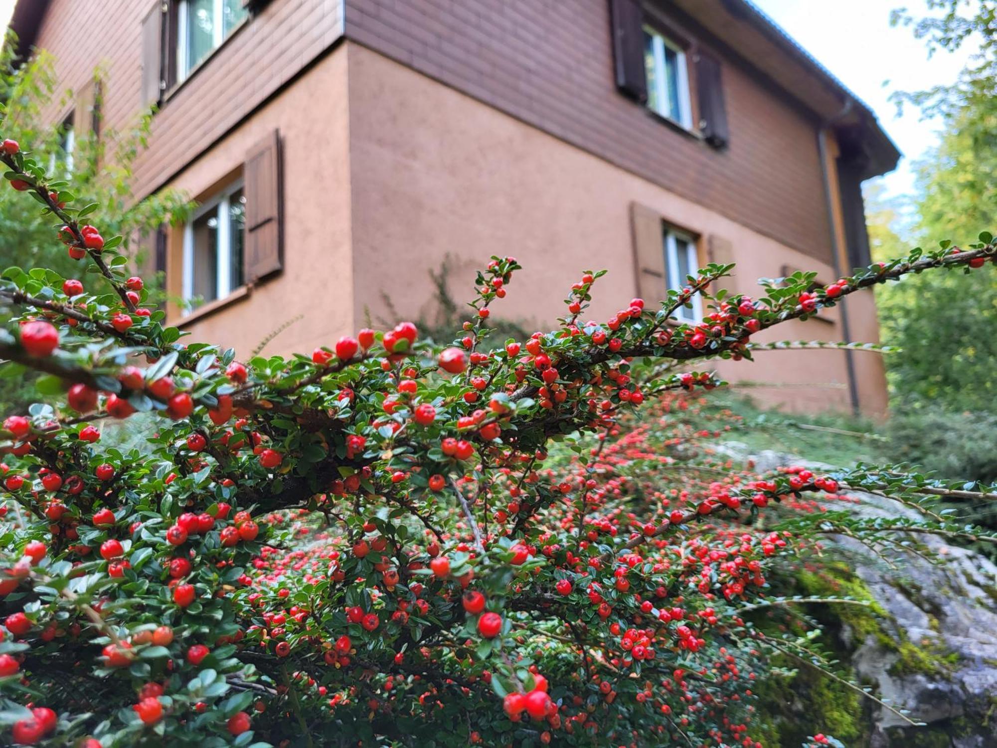 Ferienhaus Baerschwendi 龙疆 外观 照片