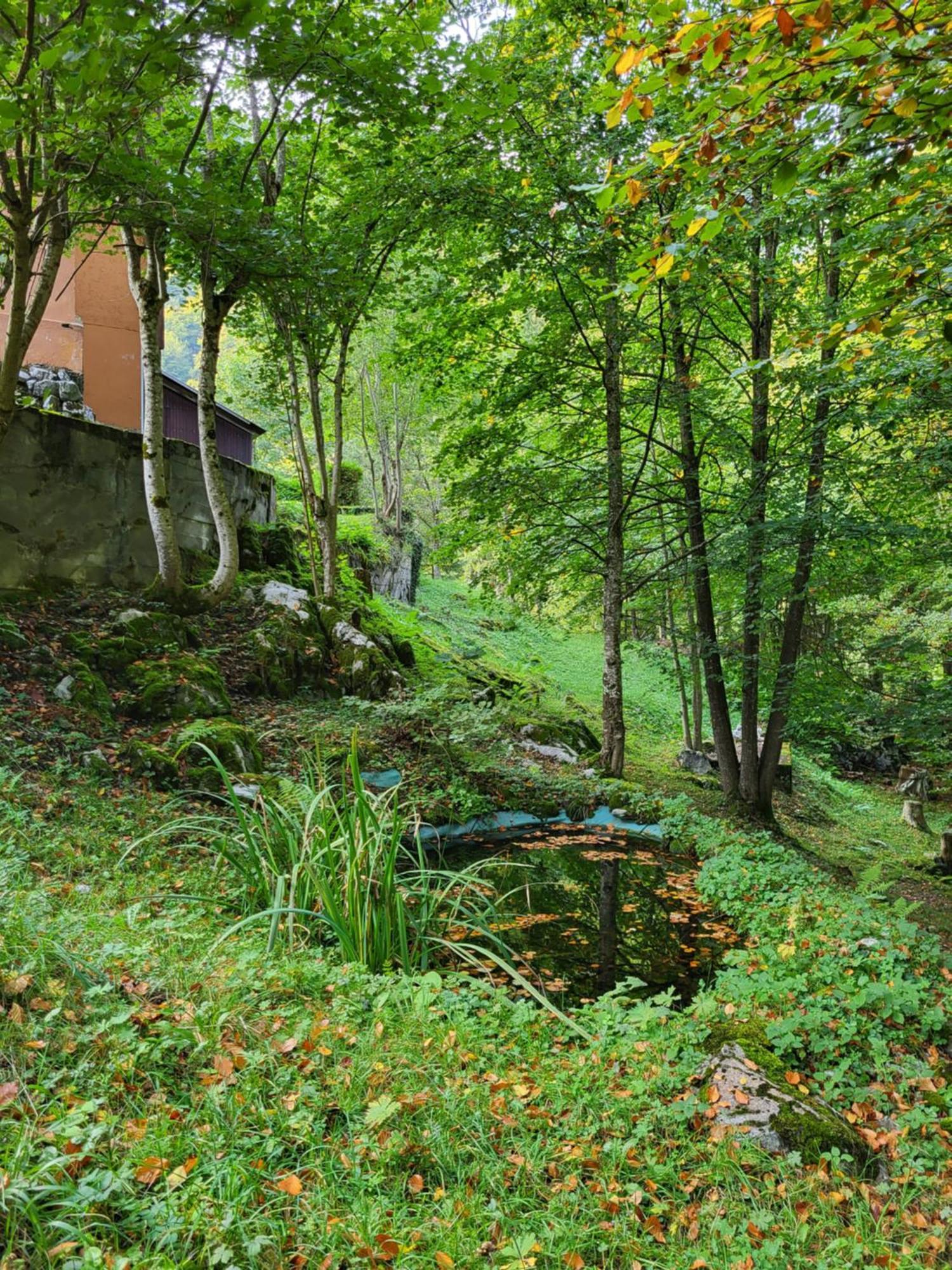 Ferienhaus Baerschwendi 龙疆 外观 照片