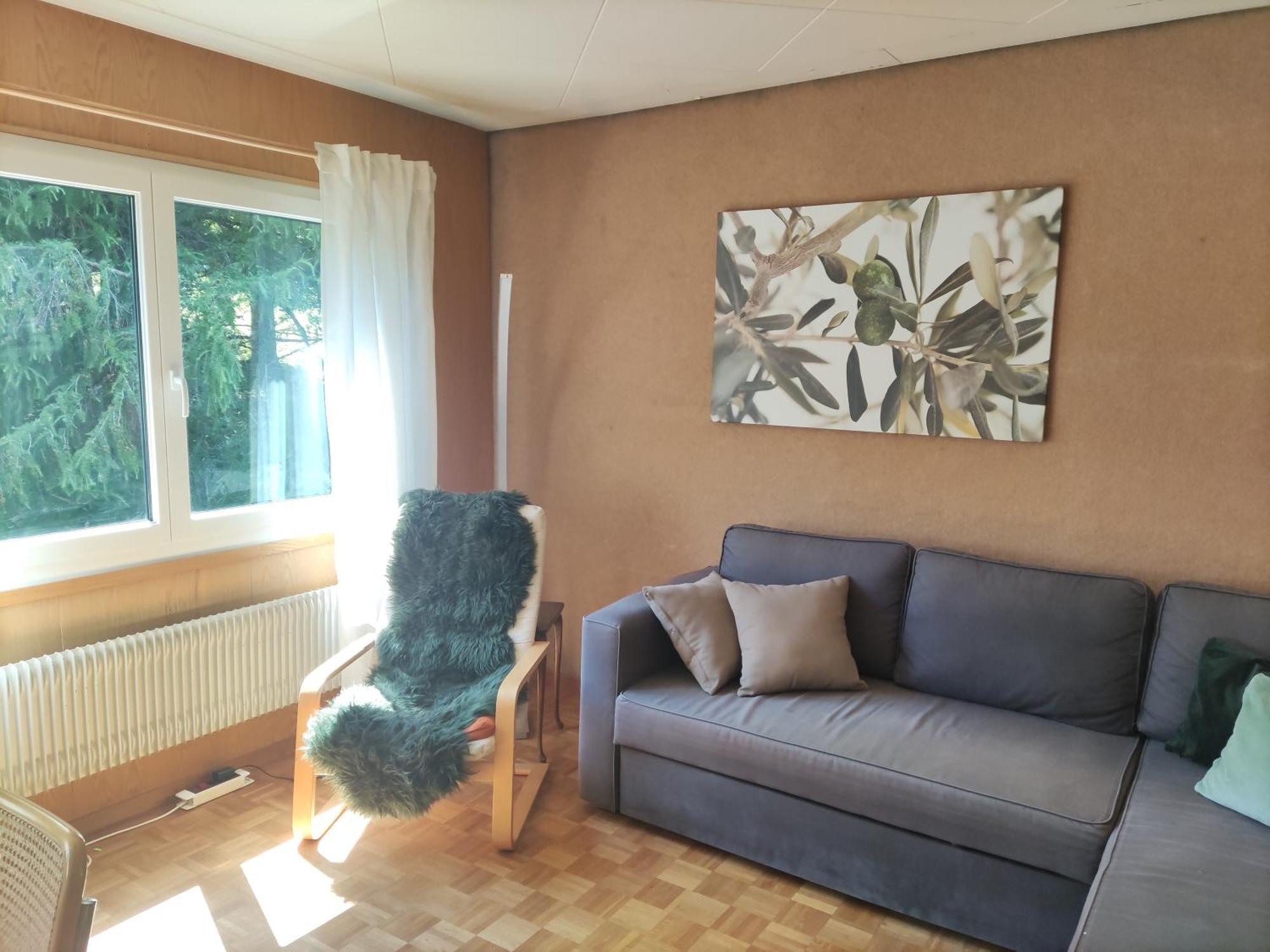 Ferienhaus Baerschwendi 龙疆 外观 照片