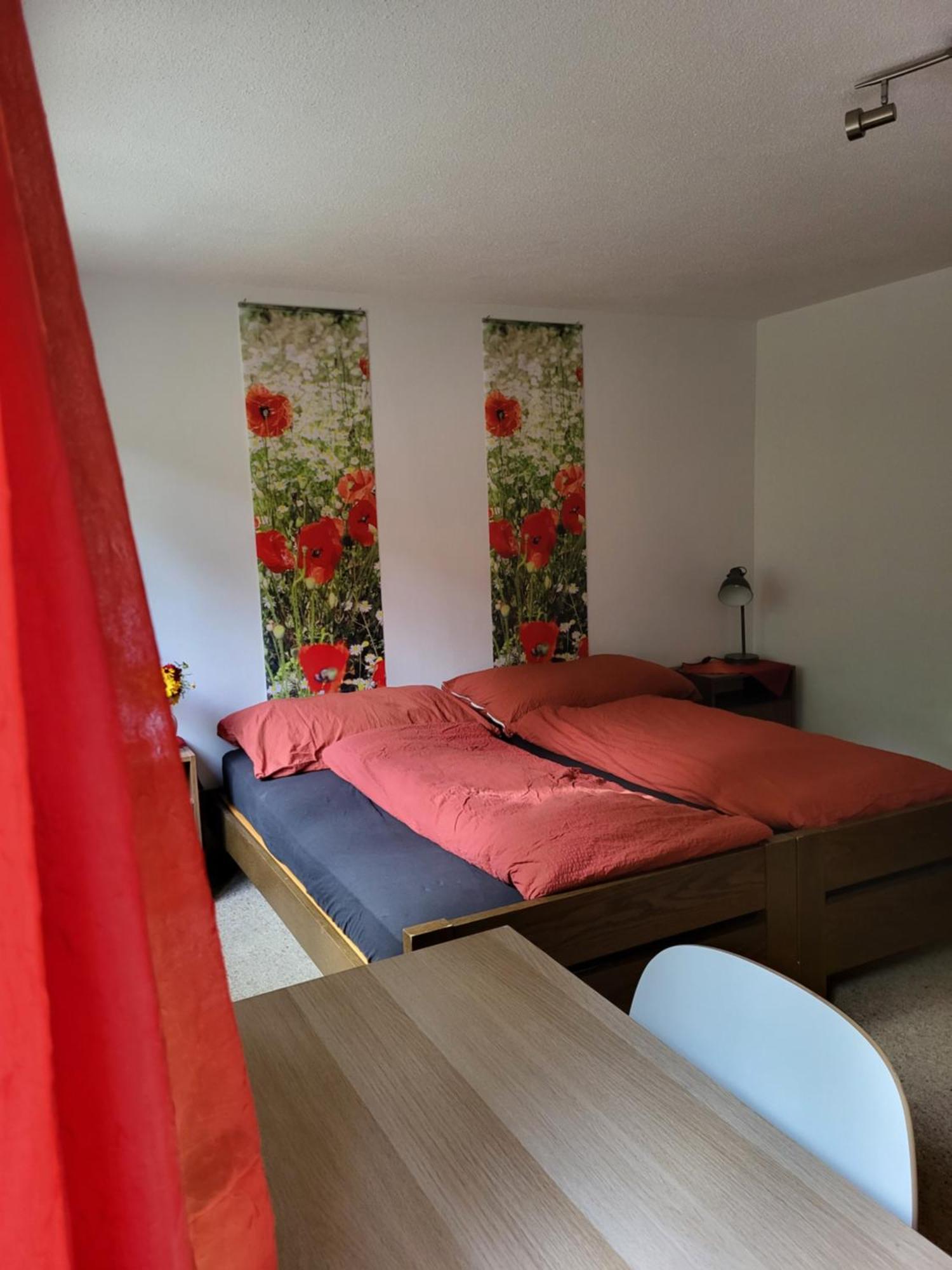Ferienhaus Baerschwendi 龙疆 外观 照片