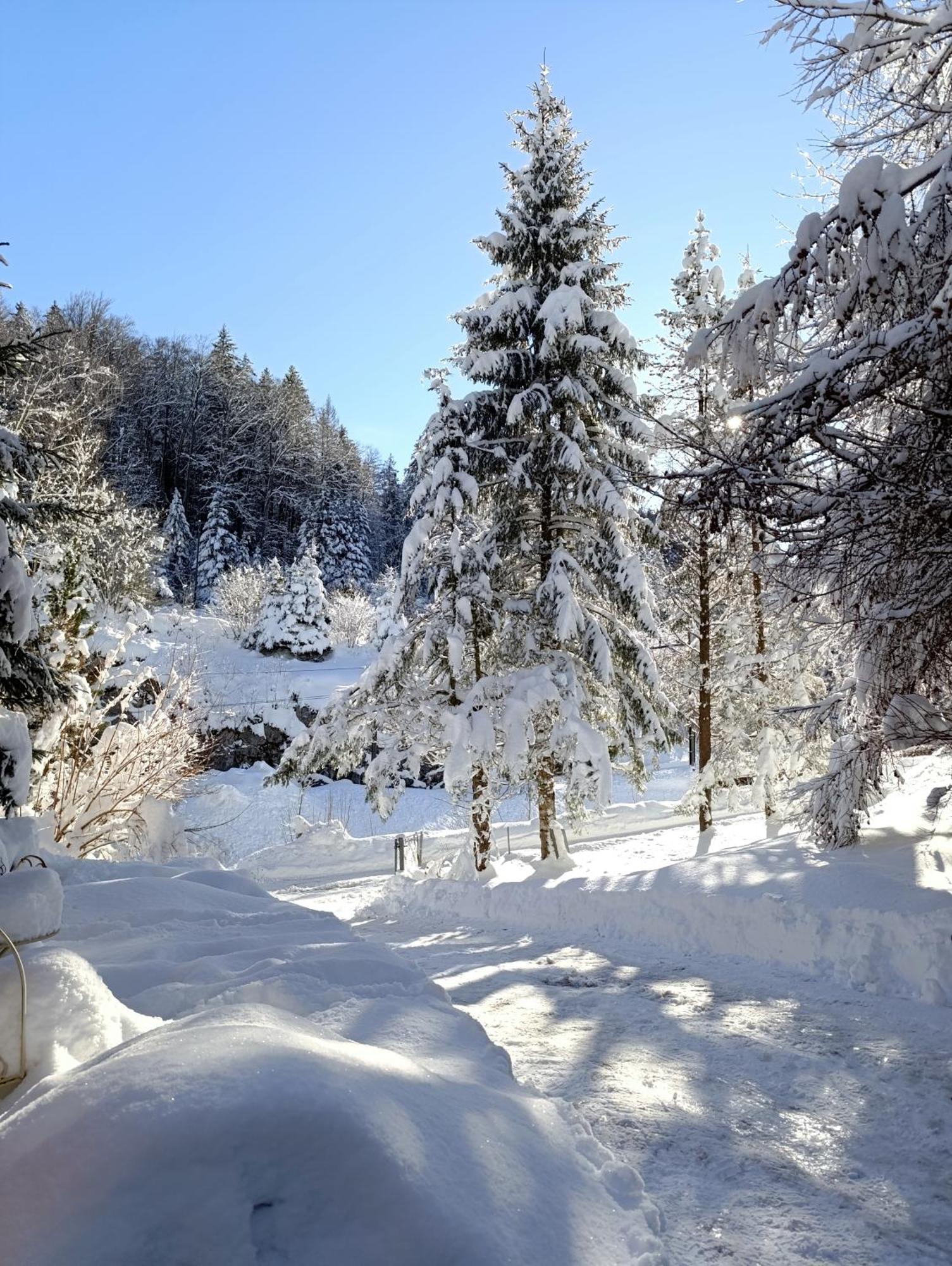 Ferienhaus Baerschwendi 龙疆 外观 照片