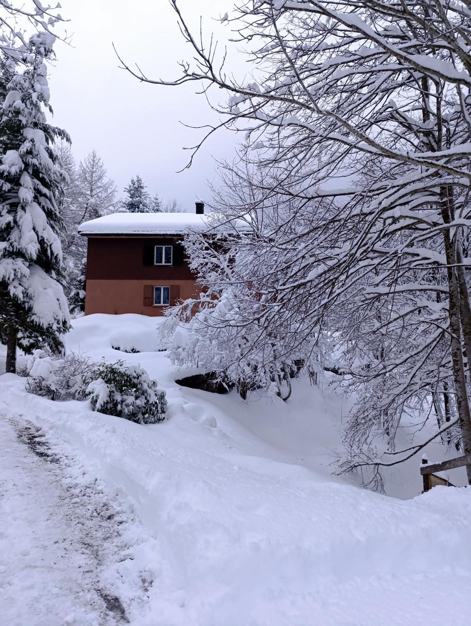 Ferienhaus Baerschwendi 龙疆 外观 照片